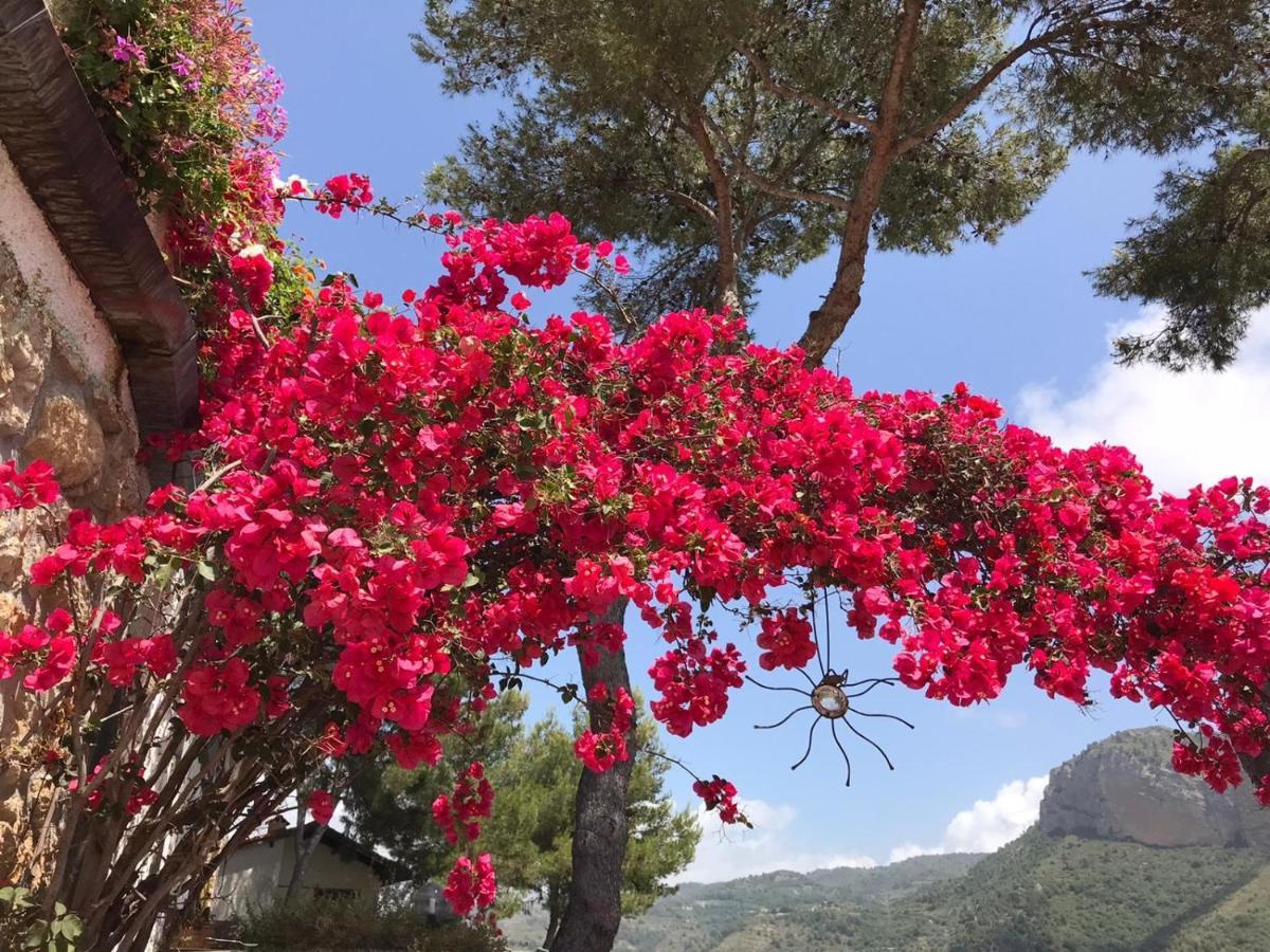 Seglia San Bernardo Villaggio Turistico Da Tonino מראה חיצוני תמונה
